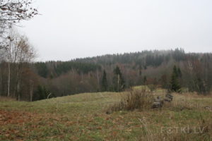 000043490160__2__saulii
